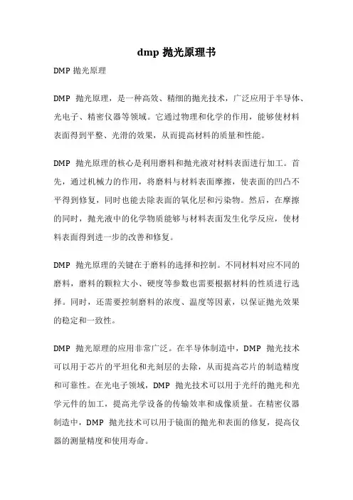 dmp抛光原理书