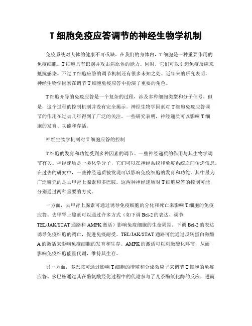 T细胞免疫应答调节的神经生物学机制