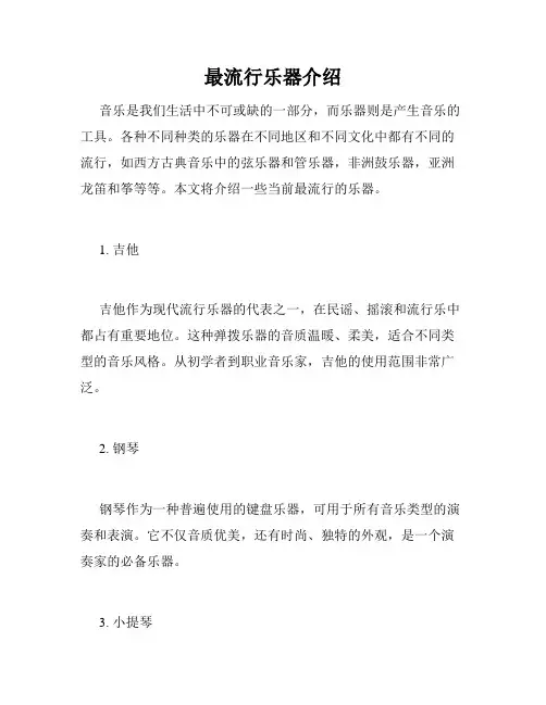 最流行乐器介绍