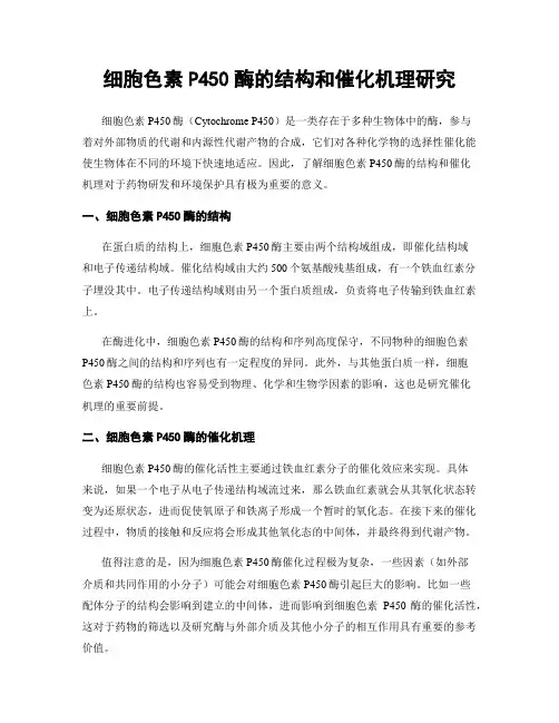 细胞色素P450酶的结构和催化机理研究