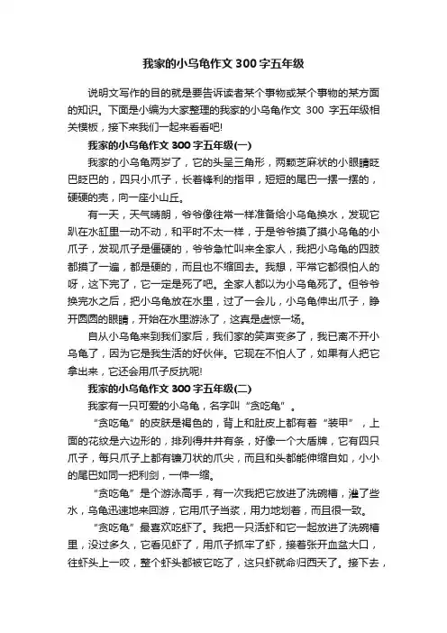我家的小乌龟作文300字五年级