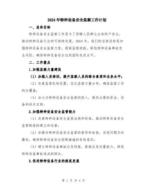 2024年特种设备安全监察工作计划
