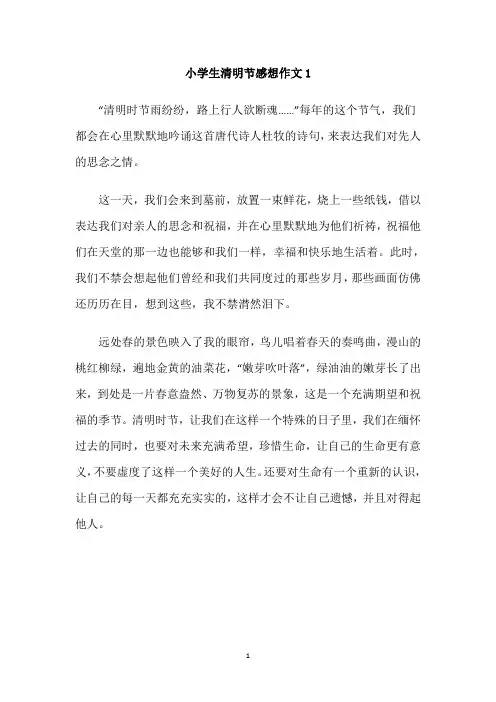 小学生清明节感想作文(6篇)
