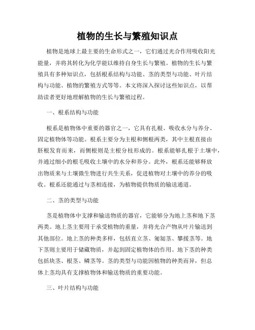植物的生长与繁殖知识点