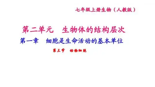 人教版七年级生物上册课件：第二单元  细胞是生命活动的基本单位第三节 动物细胞 (共18张PPT)
