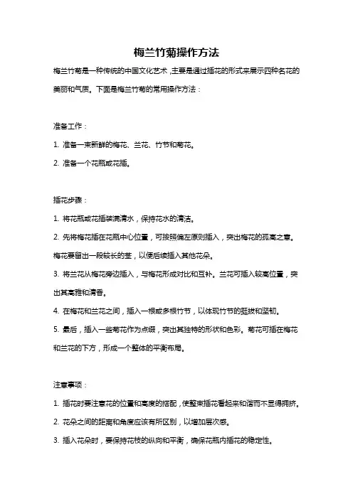 梅兰竹菊操作方法