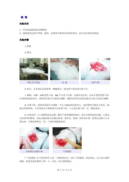 病生实验：缺氧