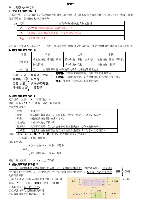 浙教版高中生物必修1知识点最新整理教学提纲