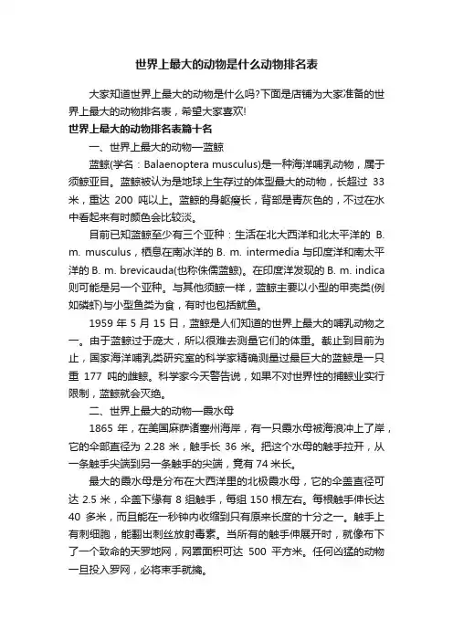 世界上最大的动物是什么动物排名表