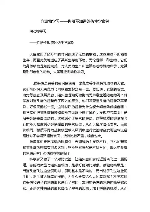 向动物学习——你所不知道的仿生学案例