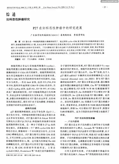 P27在妇科恶性肿瘤中的研究进展
