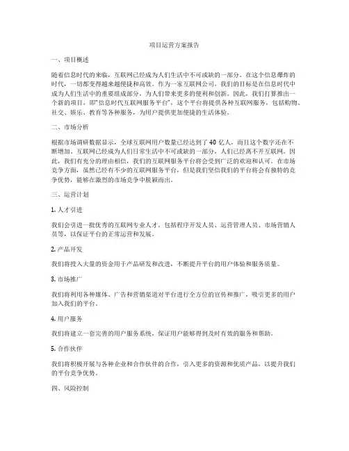 项目运营方案报告