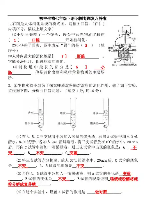 初中生物七年级下册识图专题复习答案
