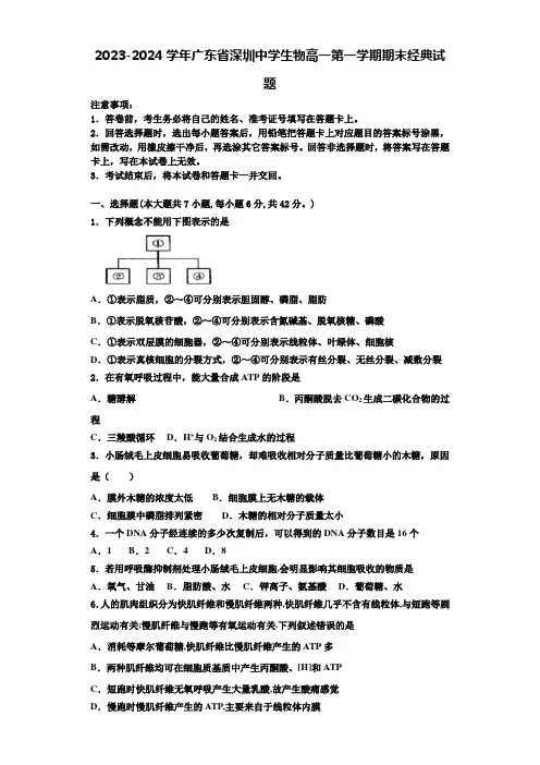 2023-2024学年广东省深圳中学生物高一第一学期期末经典试题含解析