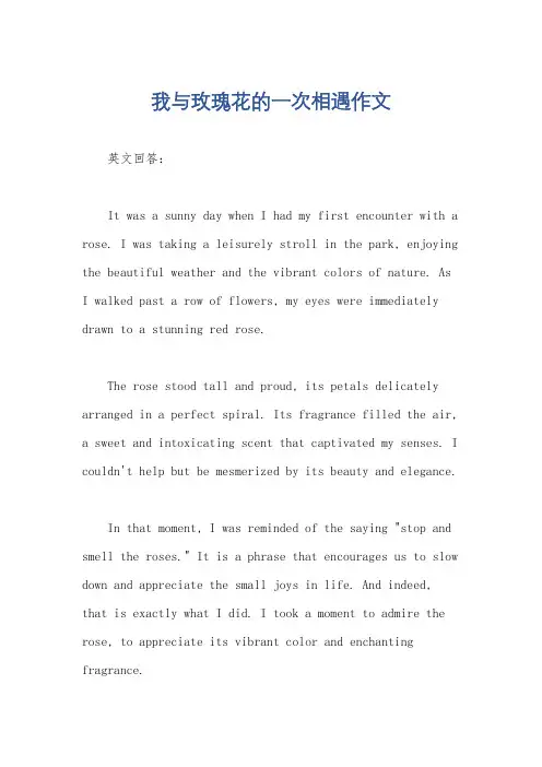 我与玫瑰花的一次相遇作文