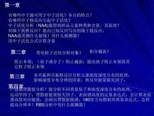 核分析技术