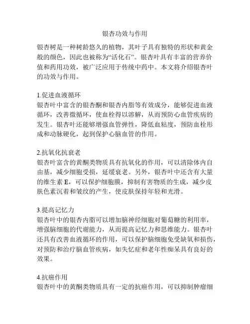 银杏功效与作用