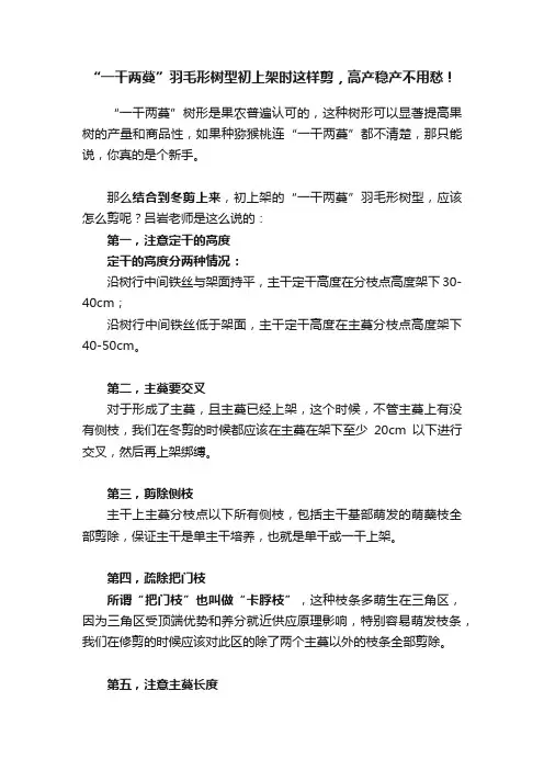 “一干两蔓”羽毛形树型初上架时这样剪，高产稳产不用愁！