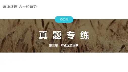 2024届高考一轮复习地理课件(新教材人教版)人文地理  第三章 第2讲 真题专练