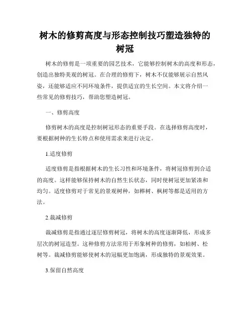 树木的修剪高度与形态控制技巧塑造独特的树冠