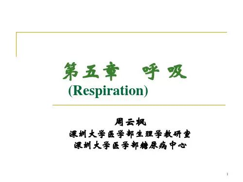 生理学 呼吸系统