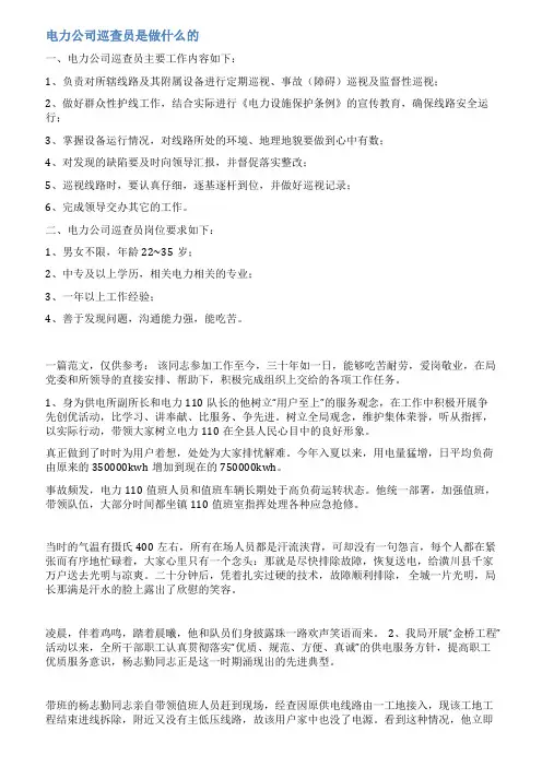 供电所巡察报告范文
