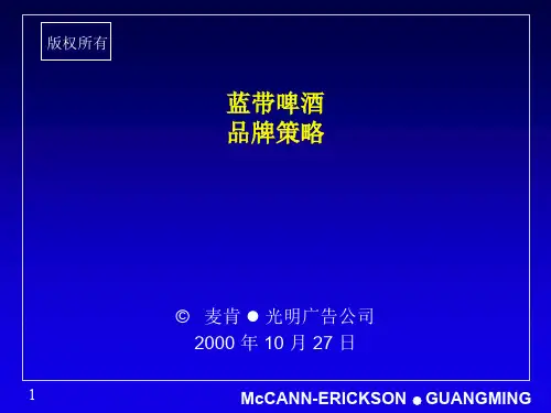 蓝带啤酒品牌策略(推荐PPT113)