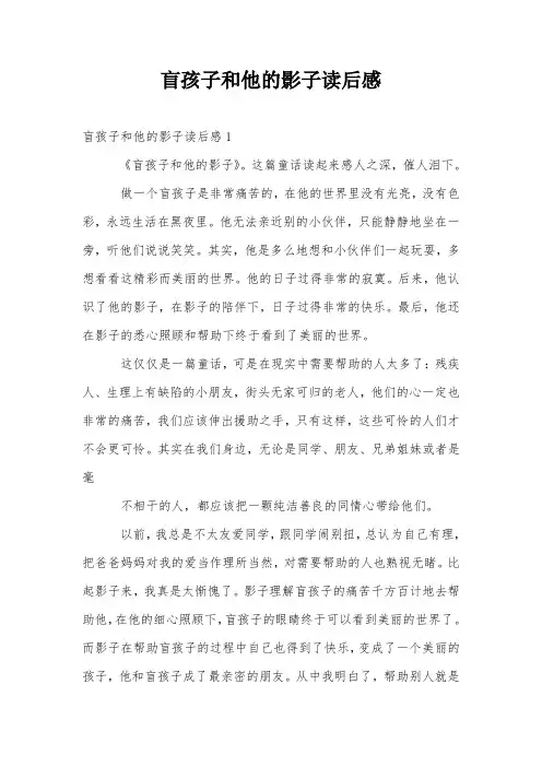 盲孩子和他的影子读后感