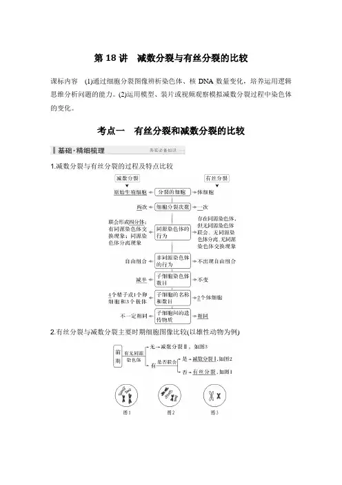 2025高考生物总复习减数分裂与有丝分裂的比较课件教案练习题