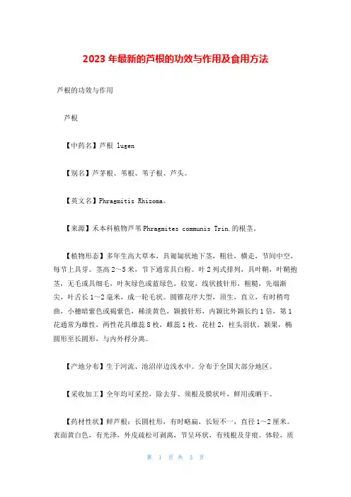 2023年最新的芦根的功效与作用及食用方法