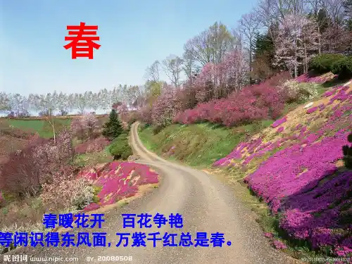 语文S版四年级下第二课《只拣儿童多处行》