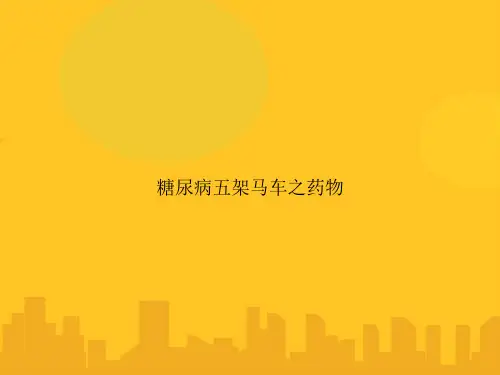 糖尿病五架马车之药物PPT优秀版