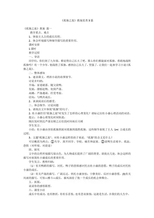 《孤独之旅》教案优秀3篇