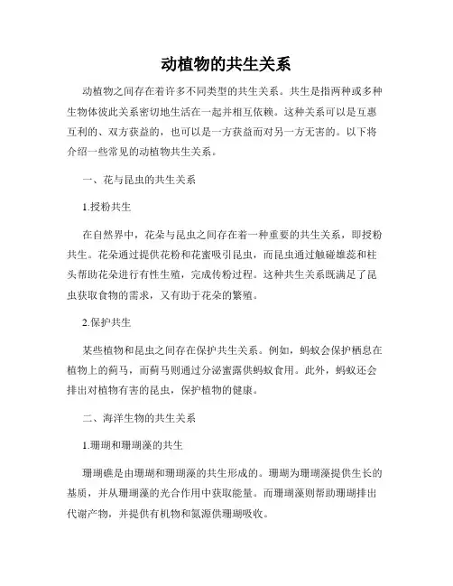 动植物的共生关系