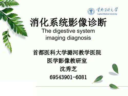 《影像诊断学》教学课件：消化系统 消化道1、2