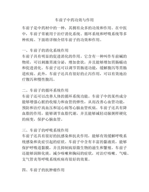 车前子中药功效与作用