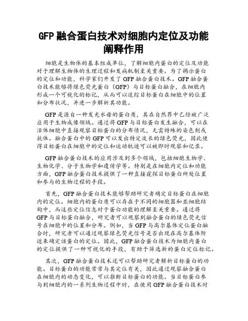 GFP融合蛋白技术对细胞内定位及功能阐释作用