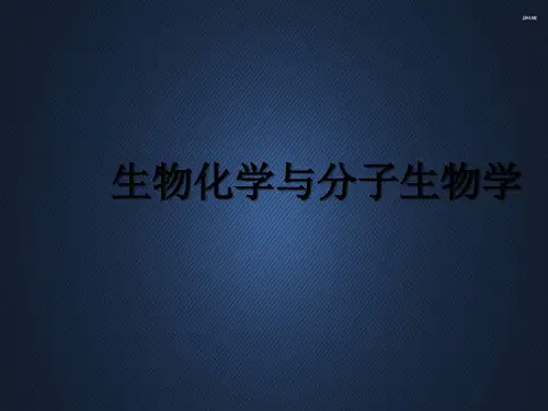 生物化学与分子生物学--维生素和无机盐  PPT课件