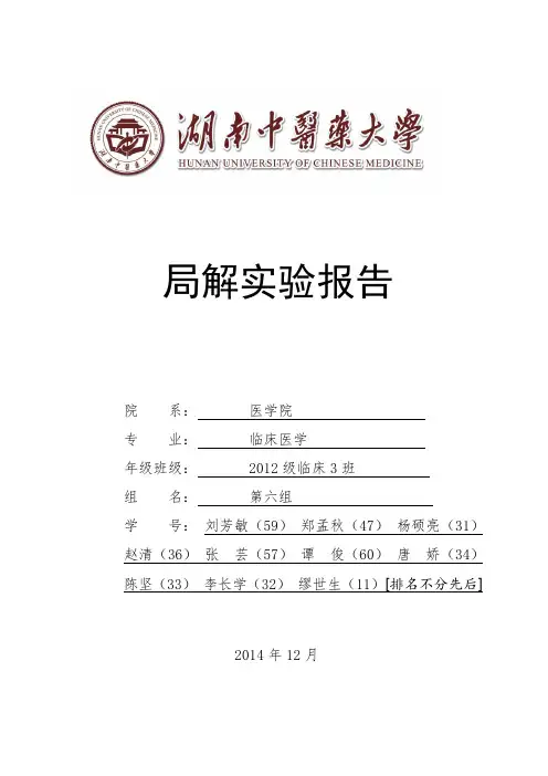 局部解剖学