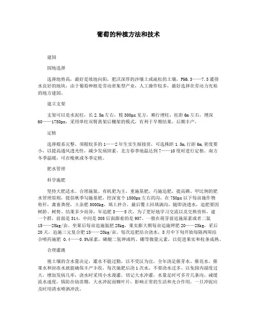 葡萄的种植方法和技术