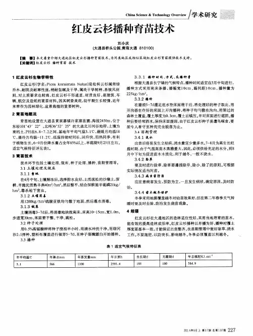红皮云杉播种育苗技术