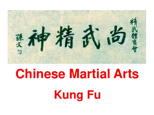 中国功夫(英文分享版)