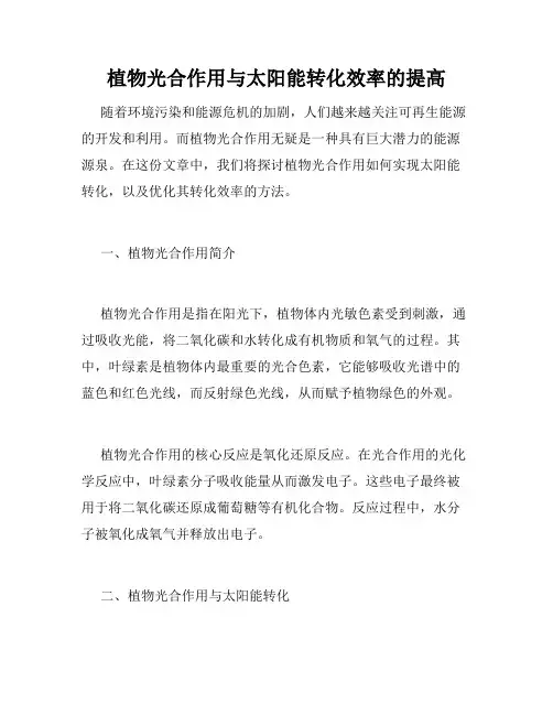 植物光合作用与太阳能转化效率的提高