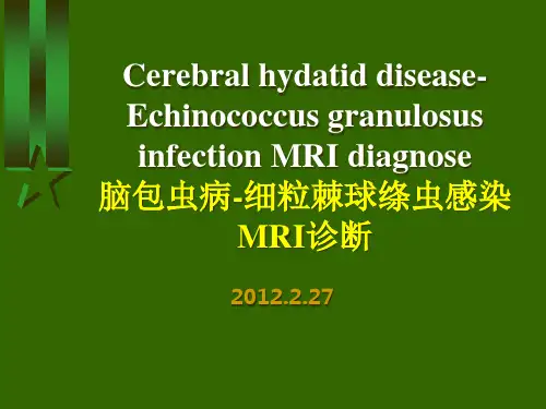 脑包虫病-细粒棘球绦虫感染MRI诊断227精品PPT课件