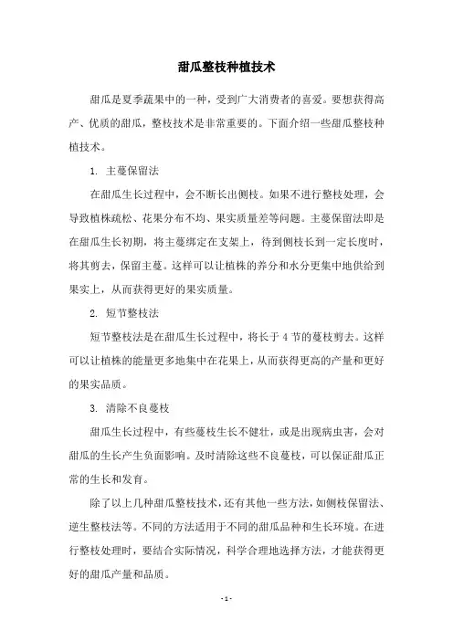 甜瓜整枝种植技术
