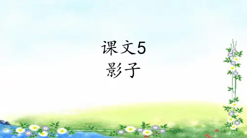 影子课件(完美版)(共18张PPT)