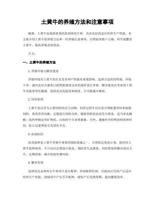 土黄牛的养殖方法和注意事项