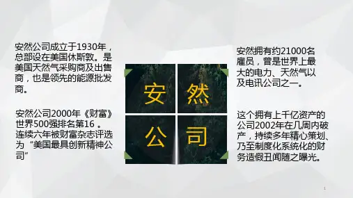 关于安然公司财务造假的审计案例分析