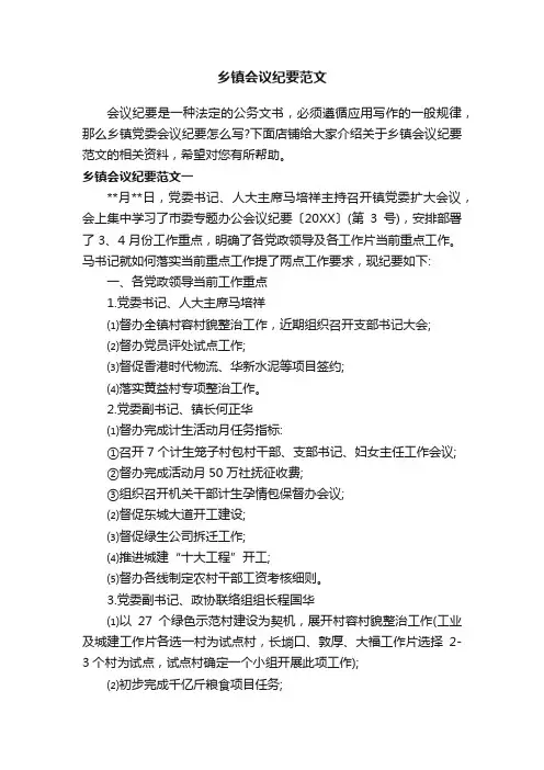 乡镇会议纪要范文