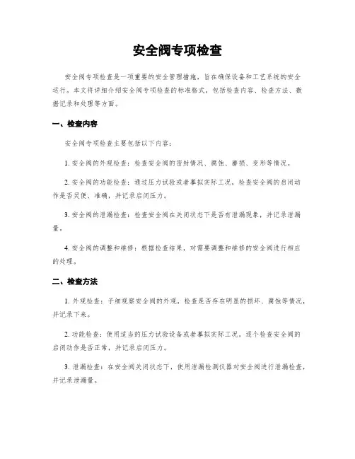 安全阀专项检查